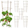 Kodustaar 6 apvalių rudų atramų augalams rinkinys, 76 cm