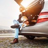 Kodustaar Apsauginis automobilio sėdynės užvalkalas šunims