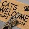 Kodustaar kokoso pluošto durų kilimėlis „cats welcome“