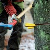 Kodustaar 4x kirtimo pleištas 2 dydžių