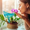 Kodustaar 4 paukščio formos laistymo smaigalių rinkinys