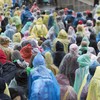 Kodustaar 13 vienkartinių lietpalčių pončų rinkinys