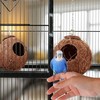 Kodustaar 2x paukščių namelis kokosinis lizdas