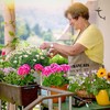 Kodustaar Ketaus žiedlapių paukščių girdykla