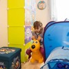 Kodustaar Šokinėjantis gyvūnas šuo