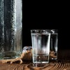Kodustaar 4cl stikliukų rinkinys (6 vnt.)