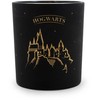 Kvapioji žvakė Harry Potter 8.3x7.4x7.4 cm Įvairių spalvų