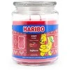 Haribo Duftkerzen Haribo Cozy Home žvakė 510 g