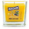 Kodustaar Maoam Duftkerze Dizzy Lemon - 200g