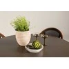 Lauko baldų komplektas Venture Design Valgomojo komplektas Santa Fe valgomojo stalas ir Guarda Café kėdė 120 cm ruda juoda aliuminis