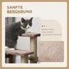 PawHut 3-pakopų naminių gyvūnėlių laiptai su draskyklėmis, kamuoliuku, šunų laiptai, naminių gyvūnėlių laiptai katėms iki 5kg, pliušas, džiutas, ruda, 45 x 40 x 48 cm | Aosom