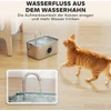 PawHut 3,2 l kačių gertuvė, fontanėlis katėms su tyliai veikiančiu siurbliu ir aktyvintos anglies filtru