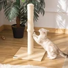 PawHut draskyklė-stulpas, sizalio draskymo stulpas katėms, stabilus, su kamuoliuku, 60 cm, medžio drožlių plokštė, smėlio spalvos ir ąžuolo