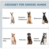 Pawhut Paaukštintas dubuo šunims, 2 x 2 litrų nuimamas nerūdijančio plieno dubuo šunims
