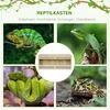 PawHut roplių terariumas, roplių šėrykla su ventiliacijos grotelėmis, stumdomos stiklinės durelės, veisimo dėžė varliagyviams, vorams, natūralios spalvos, 120 x 50 x 50 cm