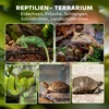 PawHut stiklinis terariumas ropliams, paaukštintas ir vandeniui atsparus dugnas, užraktas su rankenėle