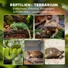 PawHut stiklinis terariumas ropliams, paaukštintas ir vandeniui atsparus dugnas, užraktas su rankenėle