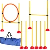 PawHut Agility rinkinys šunims, 4 dalių, užpildomas, agility įranga šunų dresūrai, kliūčių ruožas su reguliuojamo aukščio slalomo stulpais, šuolių kliūtimis ir žiedu, koordinacijos treniruotėms