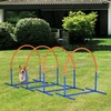 PawHut šunų dresūros įranga, šunų „Agility“ rinkinys, 4 dalių dresūros rinkinys su krepšiu, mėlyna ir oranžinė, 88 x 64 x 95 cm
