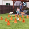PawHut 6 dalių šunų dresūros rinkinys su kliūtimis, 12 kūgių, 6 reguliuojamo aukščio kliūtys, krepšys