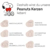 Peanuts Aromatinė žvakė 11,5x9,5 cm mėlyna, parafino vaškas