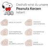 Peanuts Aromatinė žvakė 11.5x9.5 cm Oranžinė, parafino vaškas