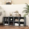 Promotions Batutės organizatorius, 101.6x30.5x40.6 cm, Pilka