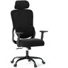 Promotions Biuro kėdė 71x72x125 cm juoda, ergonomiška