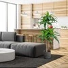 Promotions Dirbtinė dracena, 140 cm, žalia