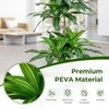 Promotions Dirbtinė dracena, 140 cm, žalia