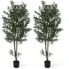 Promotions Dirbtinių alyvmedžių rinkinys, 2 vnt., 180 cm, žalia, audinio lapai