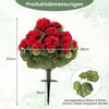 Promotions Dirbtinių pelargonijų komplektas 57x33 cm raudonos šilko medžiagos