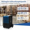 Promotions Drėgmės surinkėjas, 66 L/dieną, Baltas