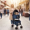 Promotions Dviejų vietų sulankstomas 3-in-1 augintinio vežimėlis su 2 nuimamais krepšiais 83x46x115 cm mėlynas