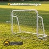 Promotions Futbolo vartai 121x60x80 cm balti, metalinis rėmas