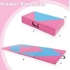 Promotions Gimnastikos kilimėlis, 240x117x5 cm, rožinės ir mėlynos spalvos