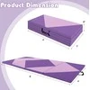 Promotions Gimnastikos kilimėlis, 240x117x5 cm, Rožinė Violetinė