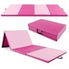 Promotions Gimnastikos kilimėlis, 300x117x5 cm, Rožinis