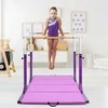 Promotions Gimnastikos lygiagretės, 251,5x132x139,7 cm, violetinės