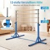 Promotions Gimnastikos skersinis, 195x121x85-145 cm, mėlynas, metalinis rėmas