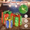 Promotions Kalėdinė dekoracija, LED dovanų dėžutės komplektas, 25,5x25,5x30,5 cm, daugiacoloris