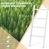 Promotions Kopėtėlių formos lentyna, 4 pakopų, tvirtinama prie sienos, 50x7.5x137 cm, balta, daiktų laikymui