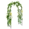 Promotions Sodo arka pergolė grotelės 120x56x220 cm juoda metalas