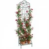 Promotions Sodo grotelių, 50x30x189,5 cm, juoda, metalas
