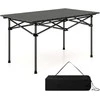 Promotions Stovyklavimo stalas, aliuminis, 96,5x55,9x50,8 cm, juodas