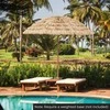 Promotions Tiki skėtis 196x214 cm natūralios spalvos