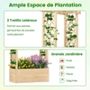 Promotions Vazonas su treliažu 66x32x153 cm natūrali mediena