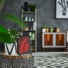 Kodustaar 3D vinukų paveikslėlis Pinart