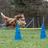 Relaxdays Agility kliūčių rinkinys, 18 dalių, mėlyna geltona