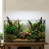 Relaxdays Akvariumo dekoracija 5,5x13,5x9 cm Ruda Polirezinas